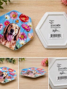 GreenBox Golden Retriever Floral Bird Porcelain Hex Trinket Tray NWOT